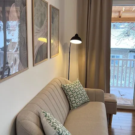 Black Cat * Велико Търново