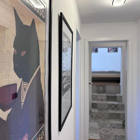 Black Cat * Велико Търново