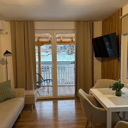 Apartament Black Cat *