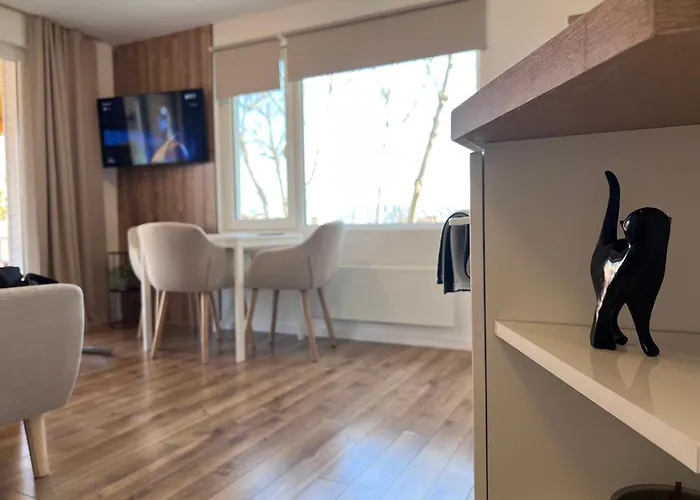 Apartament Black Cat *