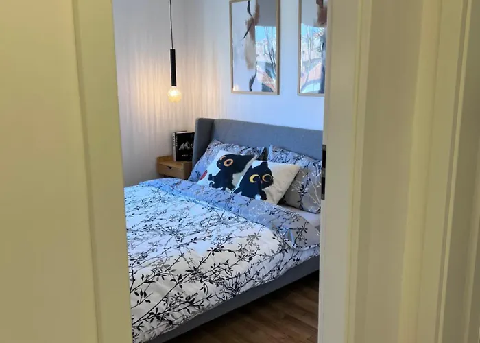 Black Cat Apartment *