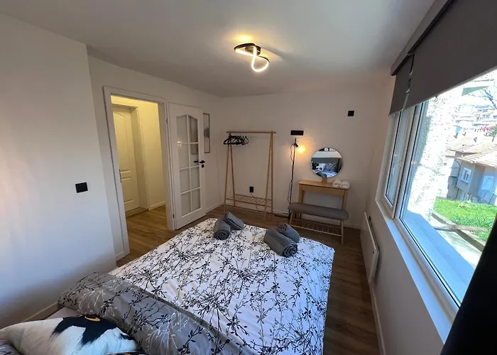 Apartament Black Cat