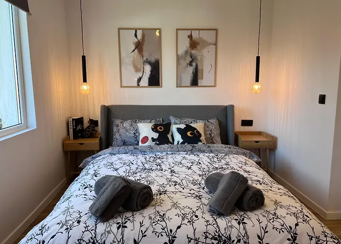 Black Cat Apartment *