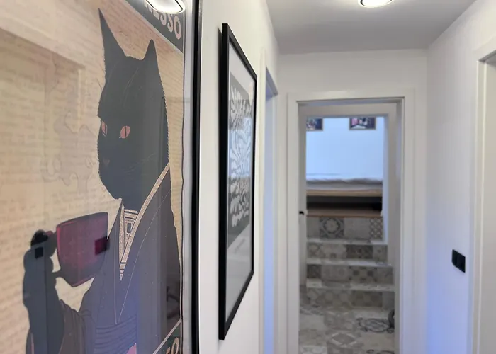 Black Cat * Veliko Tarnovo